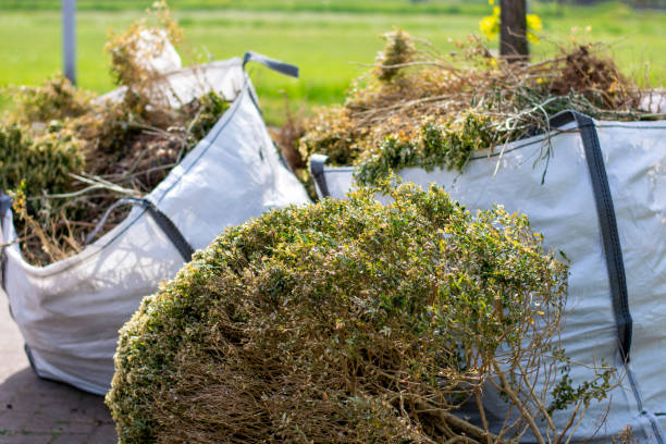 Best Affordable Junk Removal Services  in Montgomery, IL